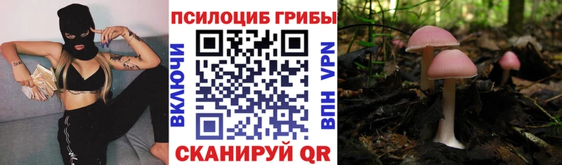 купить Ачхой-Мартан Псилоцибиновые грибы Magic Shrooms
